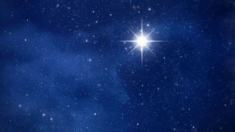 Authenticity is the North Star for Navigating the Age of AI